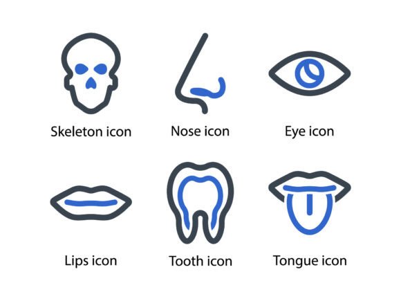 Human Body Organ Icon Set 1 Graphics & Icons Review